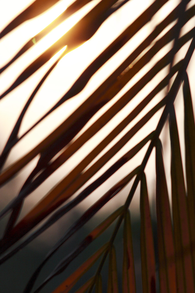 IMG_4968