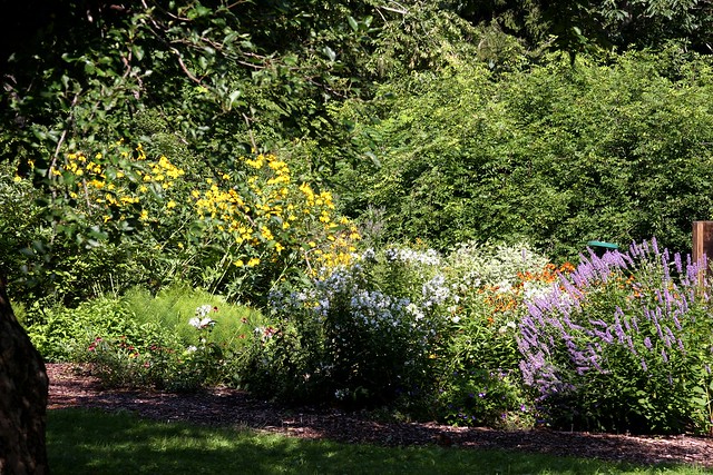 The Richard Haley Memorial Garden