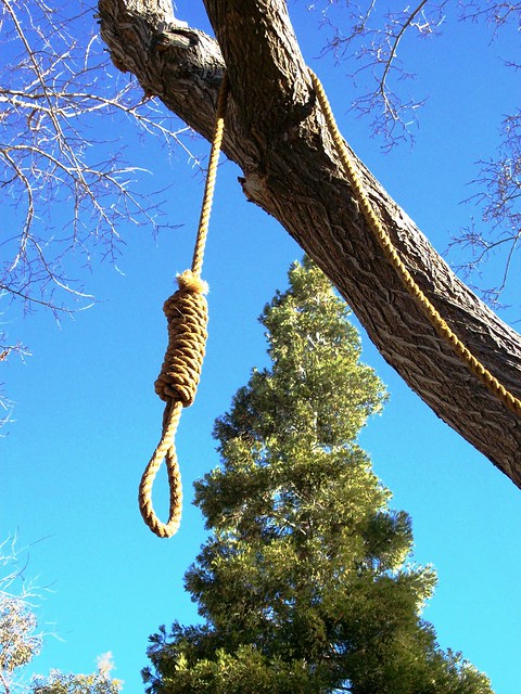Get a rope! Hangman's noose hanging from the tree at the '…