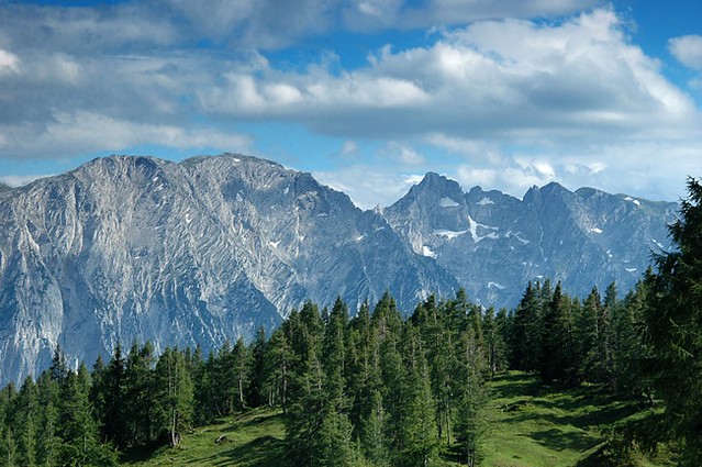 d0804091 | Blick von der Tauplitz-Alm zum Grimming (2351 m). Totes Gebirge / Steiermark, 05.07.2008
