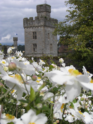 flowers ireland tower walls waterford lismore castlegardens