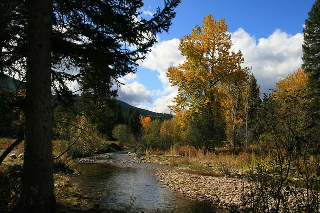 by the Banks of the Tenderfoot Creek