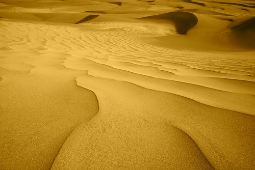 Lines in the Sand by Jason Daniel Brown