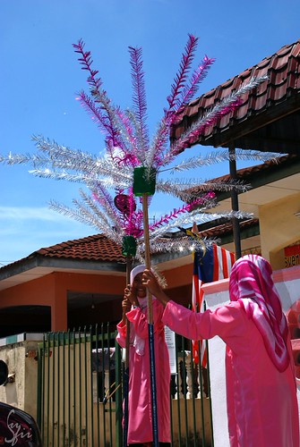 Bunga manggar girls | by nAmAsaYasUfii (^_*)