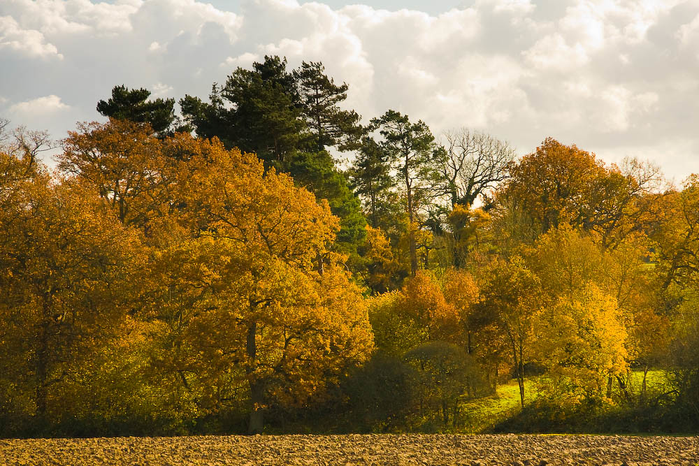 Kent in the Autumn | Stuart Leeds | Flickr
