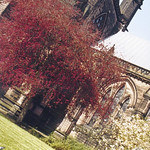 Chester churchyard