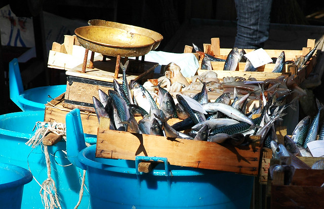 Catania (Italy) - Fish on the Market