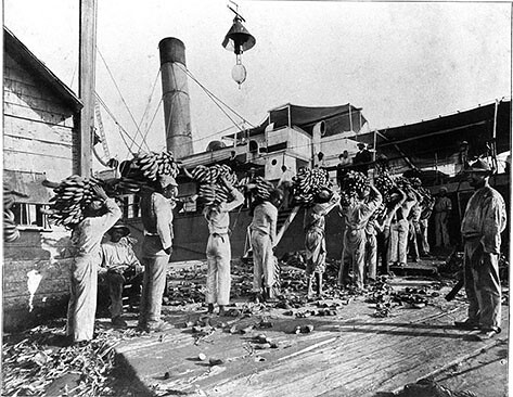 Loading bananas, Port Antonio, Portland, Jamaica [circa 1920]