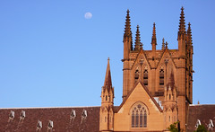 Sydney's Cathedral