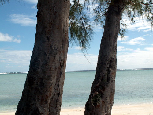 Coco Island 6 | by A. Samir