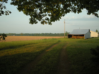 Barns and Fields in Enfield