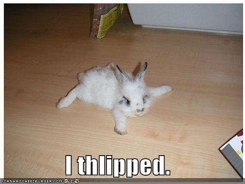 funny-pictures-little-rabbit-slipped | emofurbiesgowhee | Flickr