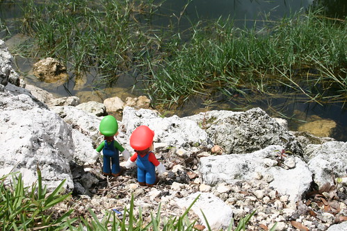 lake water grass rock pond rocks nintendo mario actionfigures mariobros figures luigi supermariobros