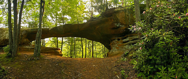 Princess Arch in the Red River Gorge, KY