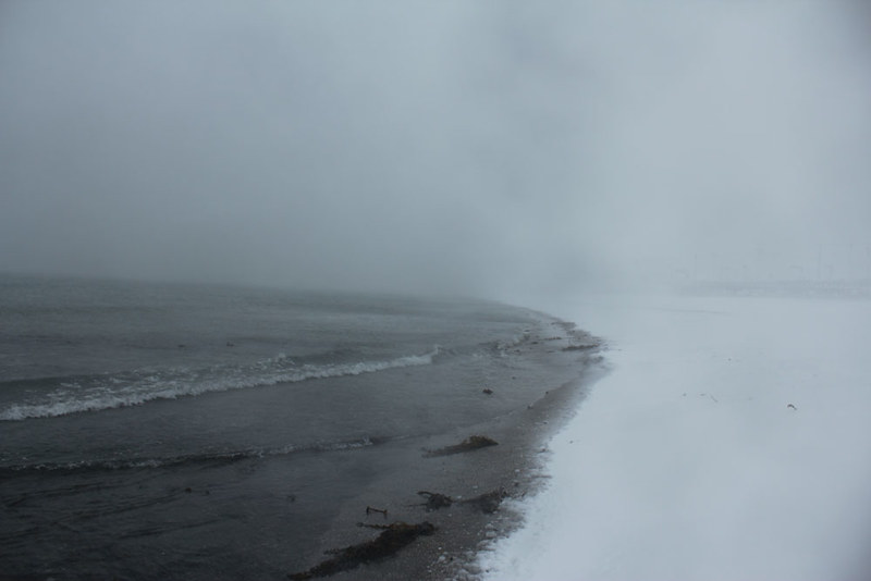 雪の由比ヶ浜