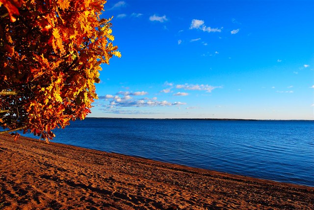 Colors of autumn on Roxen Lake