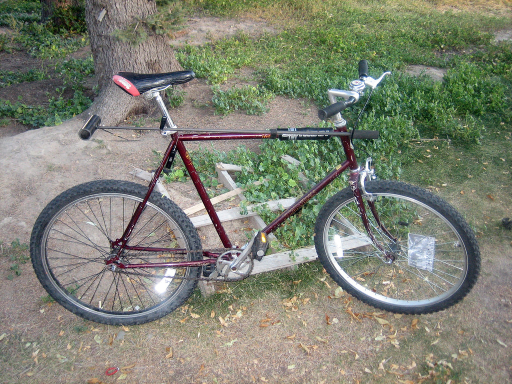 Fixed Gear Hardcourt Bike Polo Bicycle