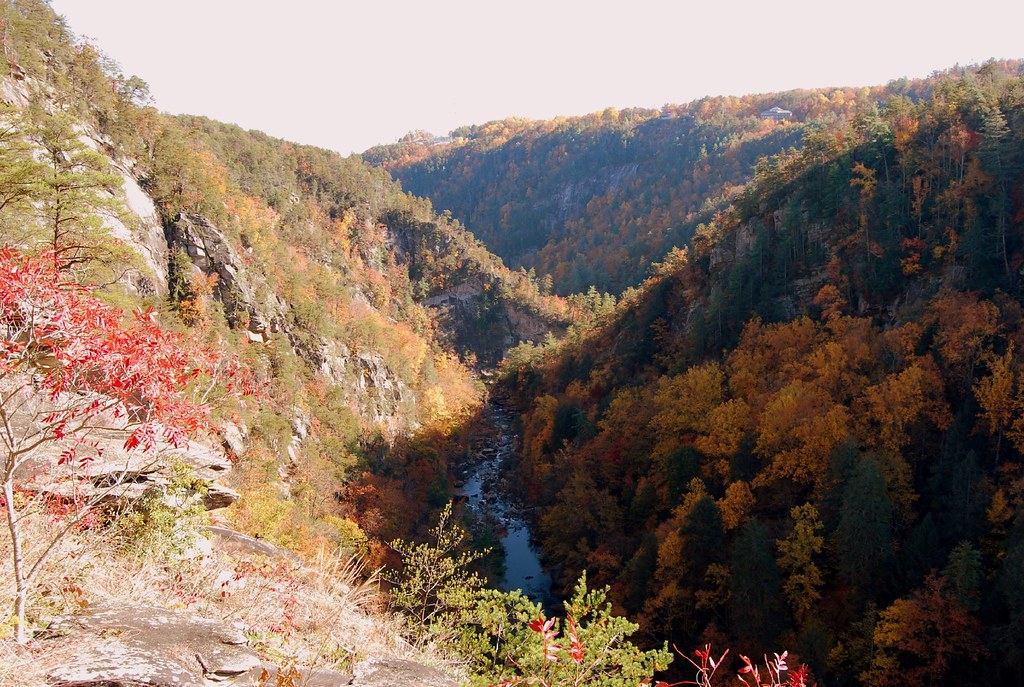 Fall in Tallulah Gorge George State Park | NIk | Flickr