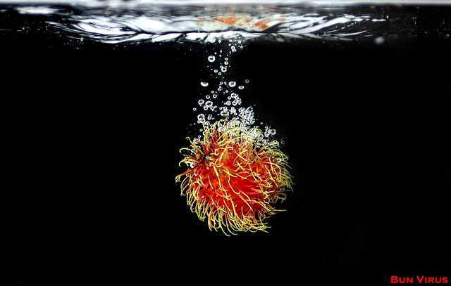 Under Water Shoot - Rambutan