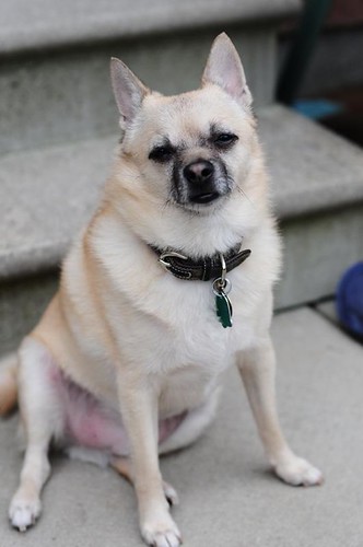 Boss 7th B-Day | by **Shutterbug Gal**