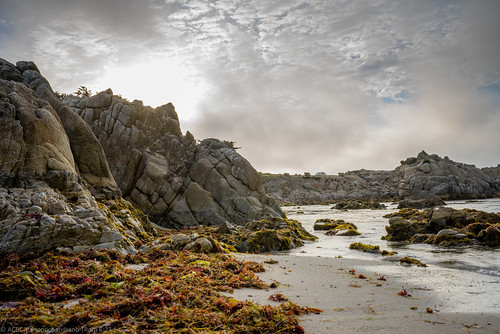 california light sea cloud beach clouds evening sand weeds rocks waves cloudy rocky pacificgrove rockybeach