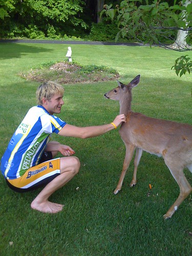 cycling deer iphone