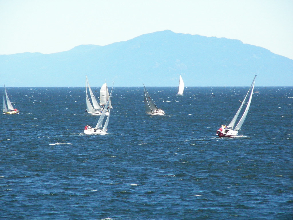 nanaimo sailboat race