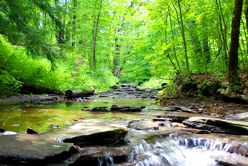 ravine by exitparadise, The Ravine... Chautauqua, New York.newyork water ravine chautauqua
