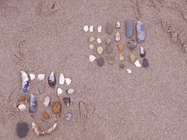 beach gems waiting for the sand castle