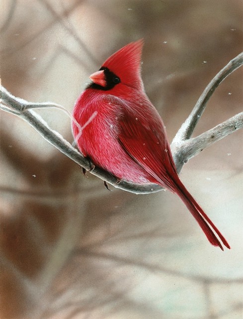 Painting of a Cardinal on a Snowy Branch