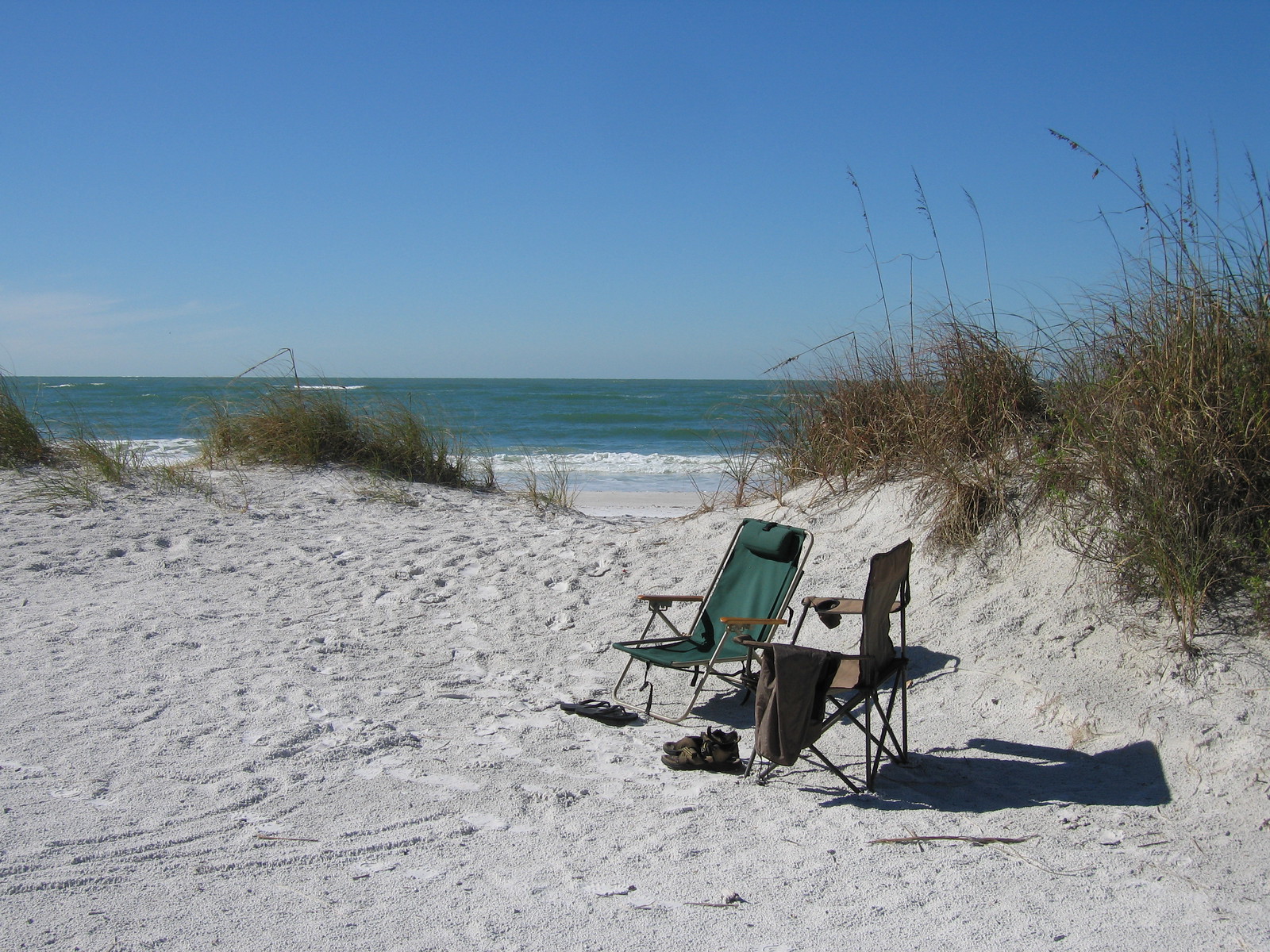 Beach Still-life, Fort de Soto Park, Tampa Bay, Florida, USA