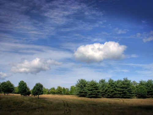 trees clouds md maryland can your mind change hdr gaithersburg awalk nist