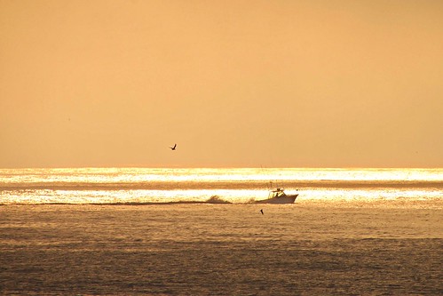ocean new sunset summer vacation beach sunrise point photography boat sand waves ship seagull sony nj atlantic jersey boardwalk series 300 alpha dslr 2008 pleasant a300 α a dslra300 α300 dslra300k αlpha dslrα300 dslrα300k