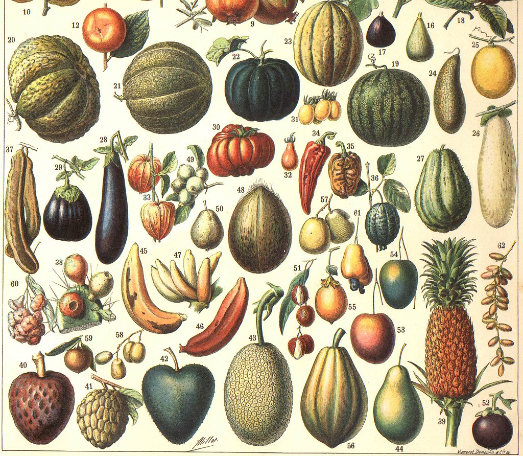 Дикие фрукты число. Селекция фрукты. Овощи до селекции. Культурные растения фрукты. Египетские овощи.
