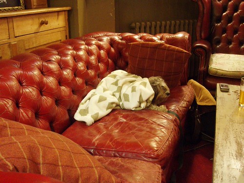 Wrapped Pub Dog | by Ewan-M