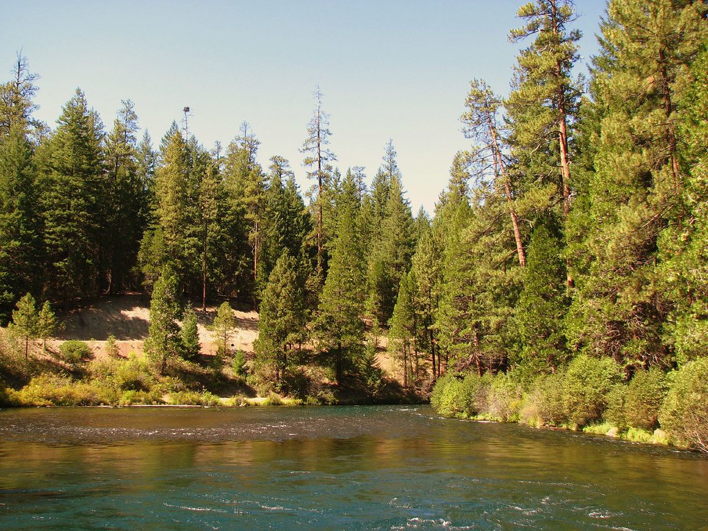 West Metolius River Trail