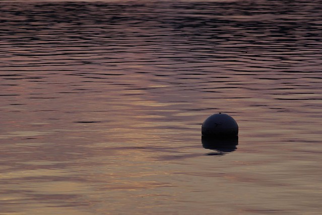 Lonely Buoy