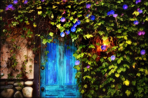 the blue door by jody9