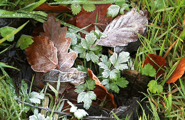 Frost underfoot