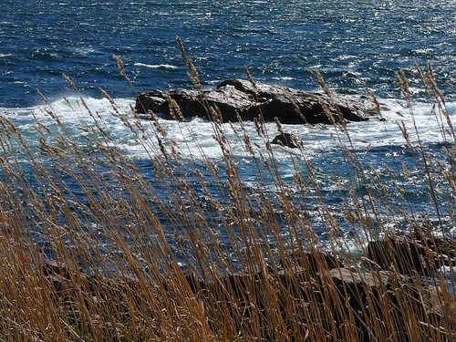 seascape landscape outdoors novascotia capebreton cabottrail oceanscape neilsharbour pfosilver wateroceancoast