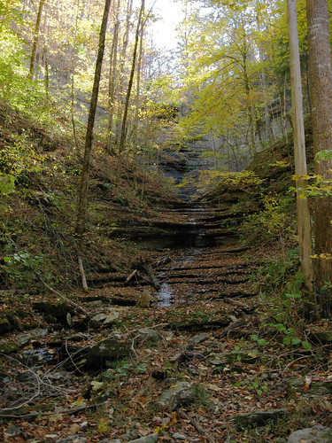 county trees green fall water colors leaves yellow creek waterfall spring tn tennessee alien falls jackson area shale