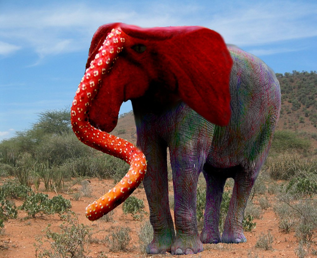 Red Head Elephant manipulation