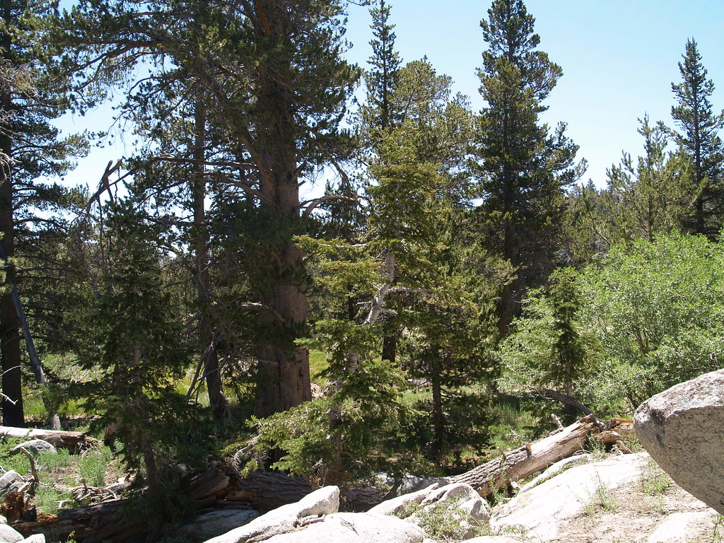 Round Valley Campground