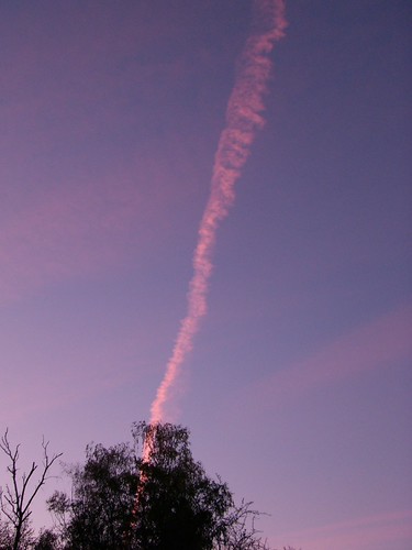 Condensation trail (sunset setting) by 4nitsirk, sky tree condensationtrail