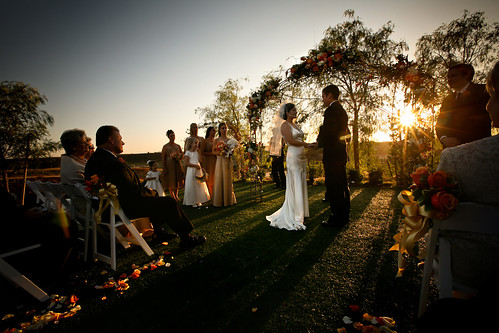california wedding sunset groom bride vineyard temecula falknerwinery mattnicoleswedding