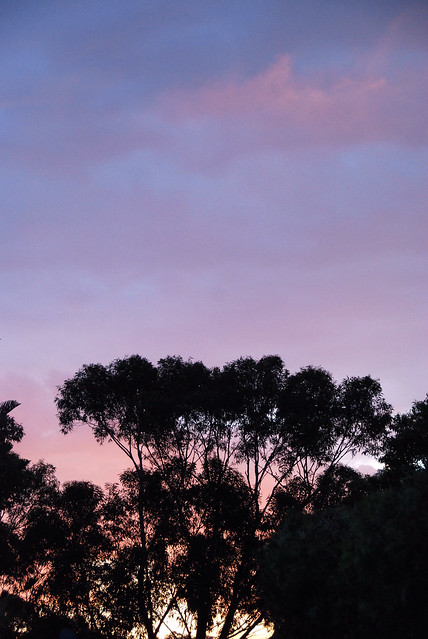 Twilight at Batemans Bay