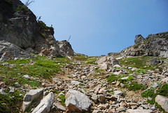 Some Steep Heather