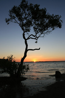 Sunset at Wellington Point