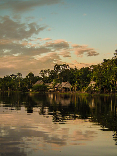 Amazon near Iquitos