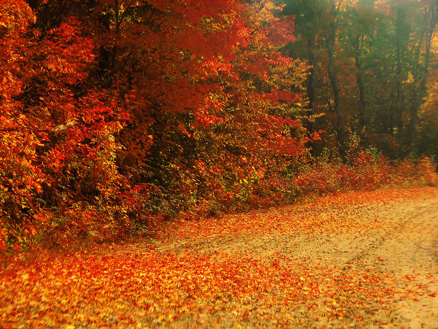 October Road